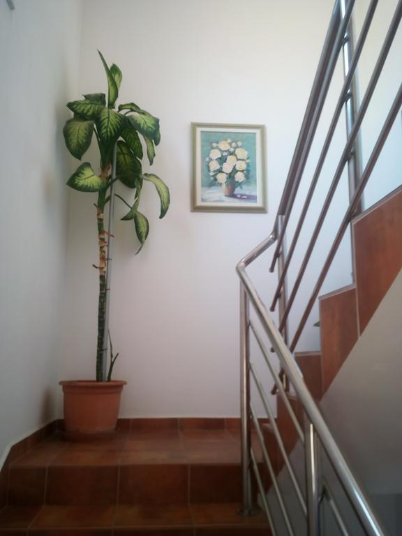 Apartmani Kapitanovic 比奥格勒·纳·莫鲁 外观 照片