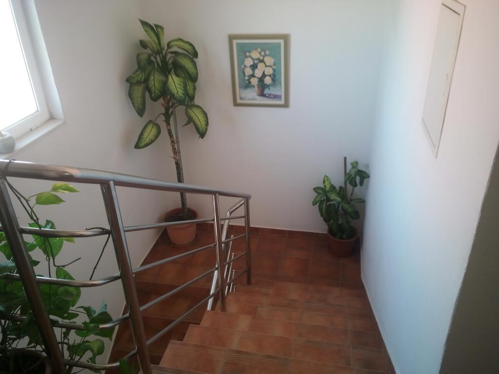 Apartmani Kapitanovic 比奥格勒·纳·莫鲁 外观 照片