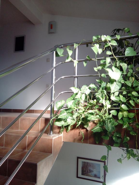 Apartmani Kapitanovic 比奥格勒·纳·莫鲁 外观 照片